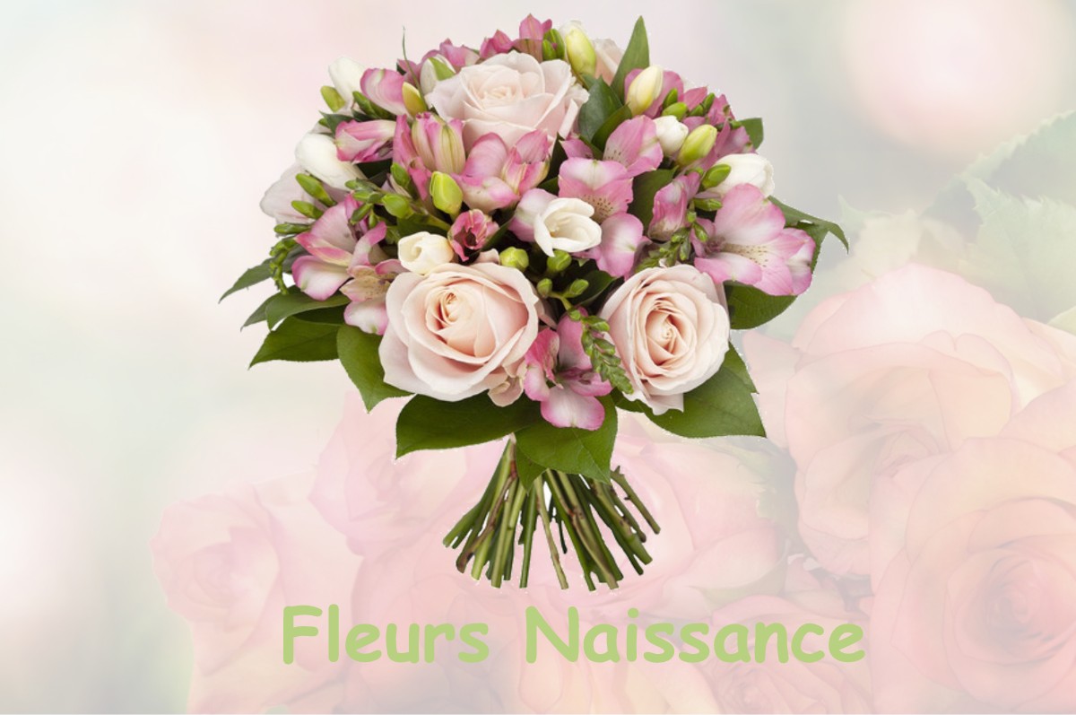 fleurs naissance COURCY-AUX-LOGES