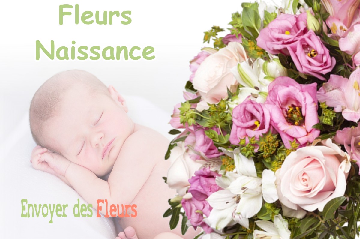 lIVRAISON FLEURS NAISSANCE à COURCY-AUX-LOGES